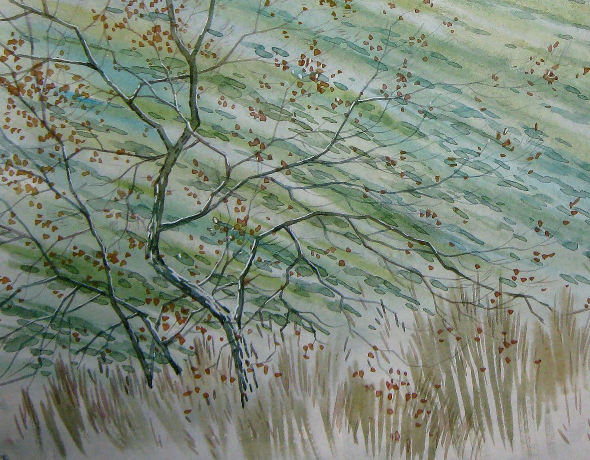 Autumn countryside Landscape 