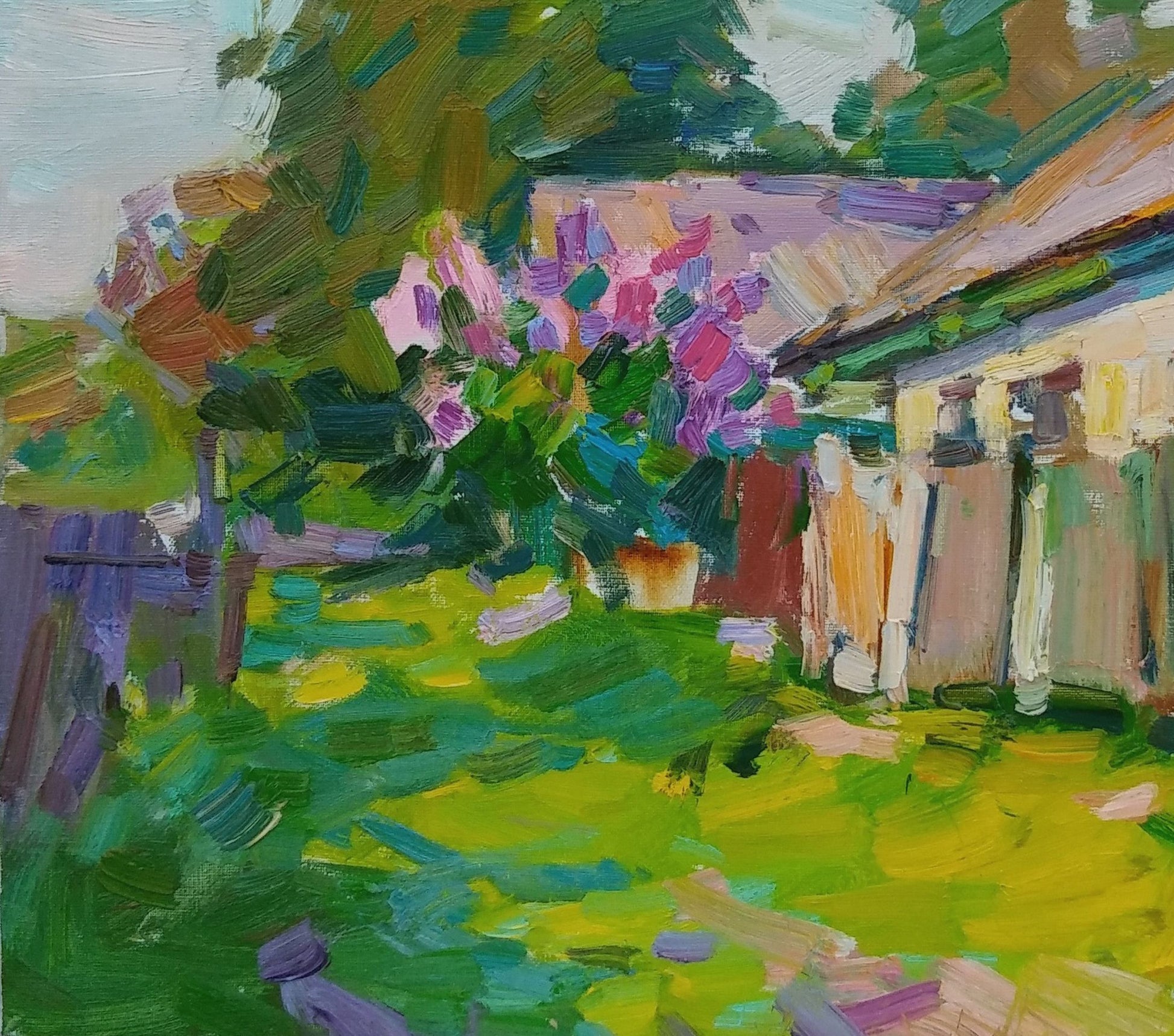 Spring Rural landscape 
