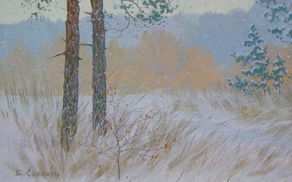 Winter Forest Nature Landscape 