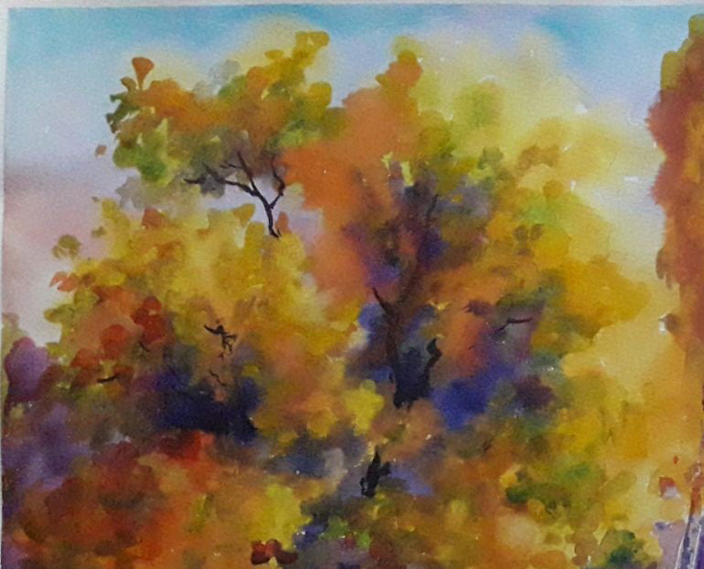 Nature Landscape 