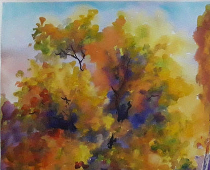 Nature Landscape 