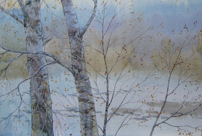 Winter Forest landscape