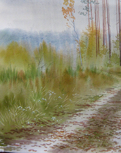 Autumn Forest Nature Landscape 