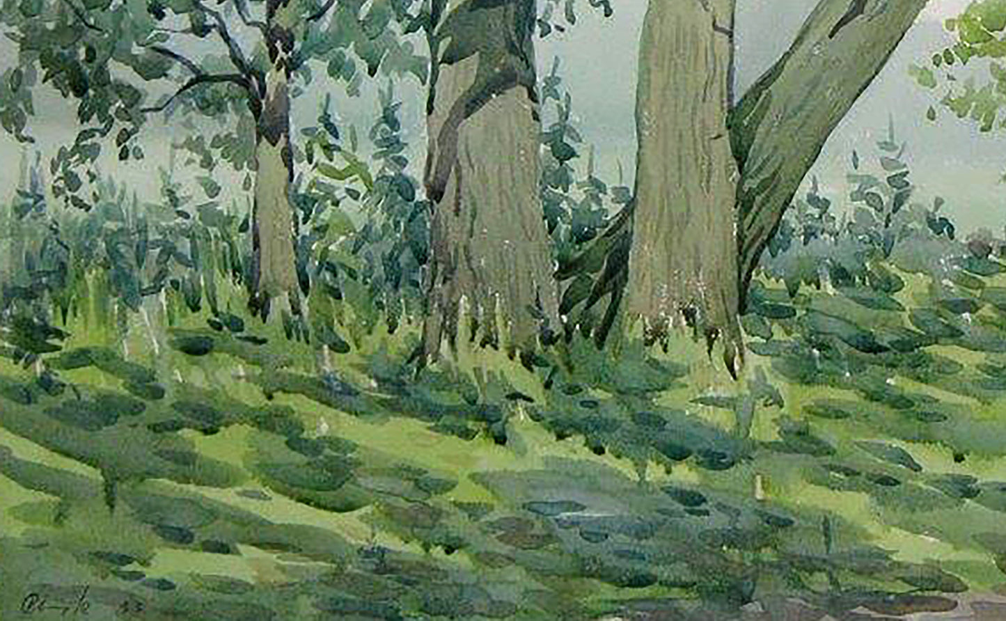 Forest Summer Landscape 