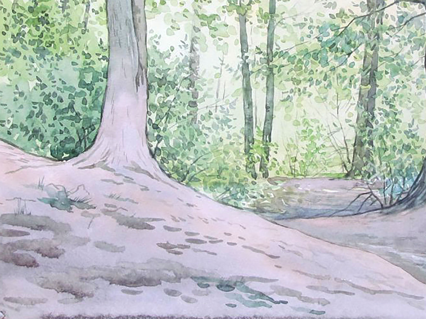 Forest Nature Landscape Buy painting