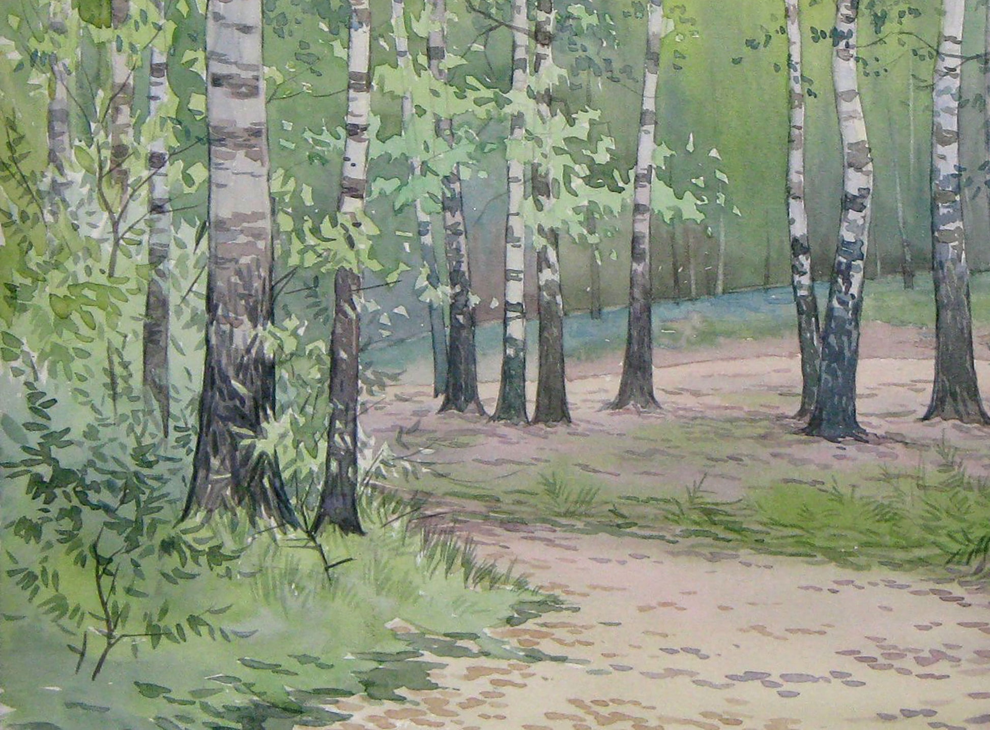 Summer Forest landscape