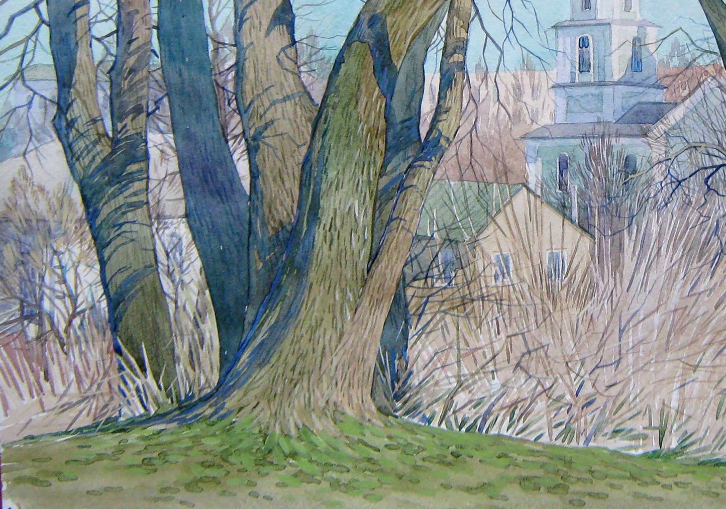 Rural landscape 
