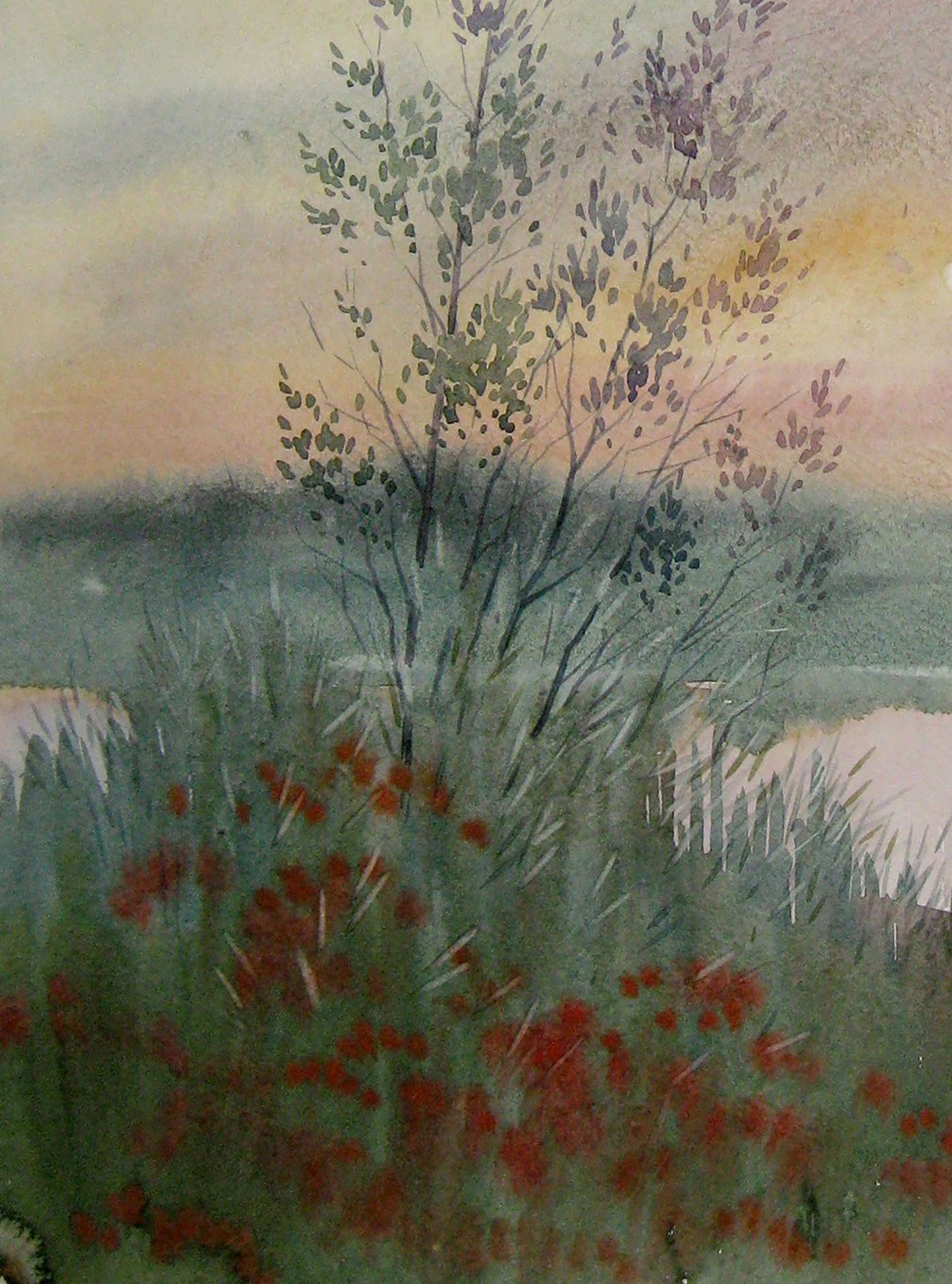 Evening River Nature Landscape 