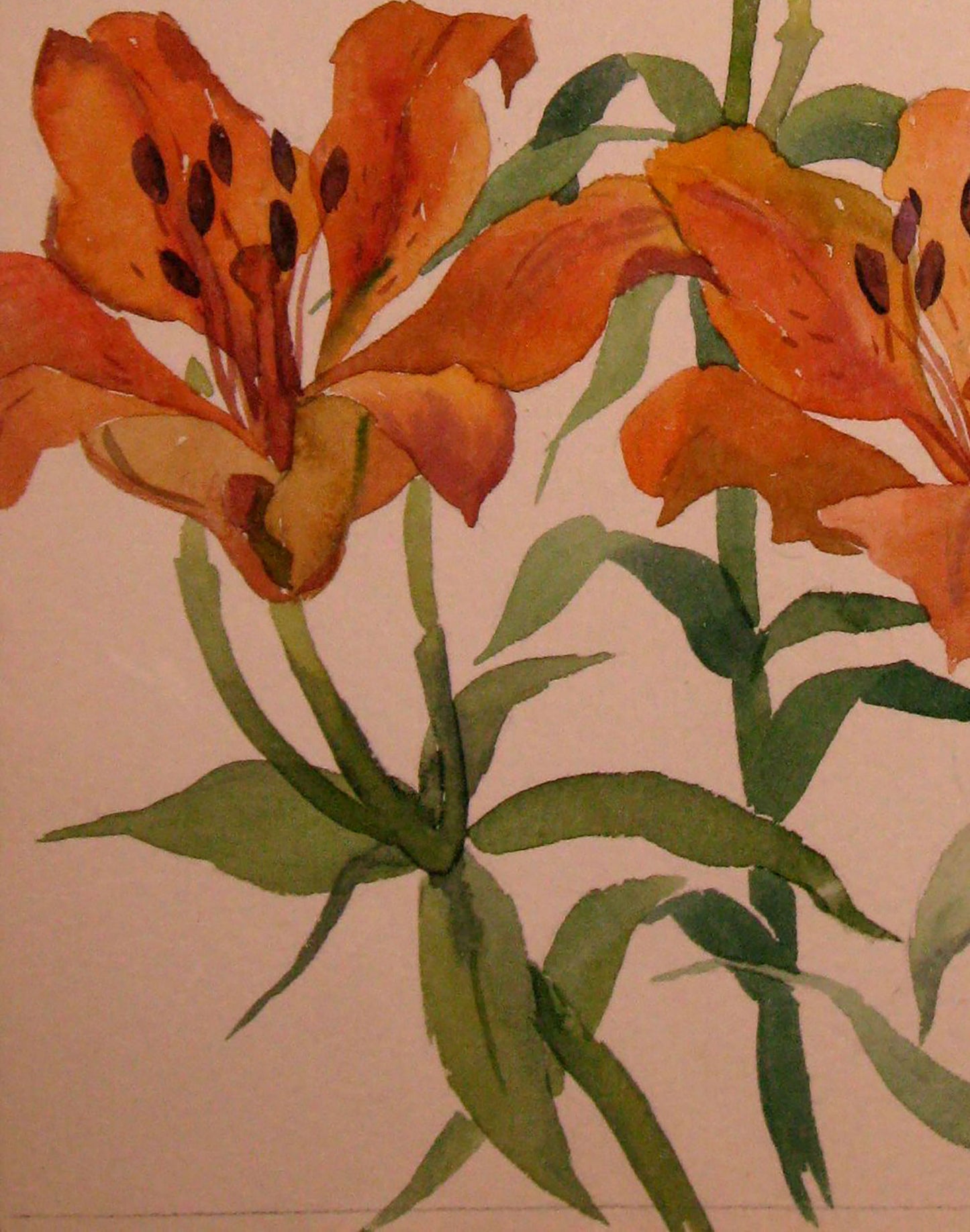 Bouquet of Flowers  