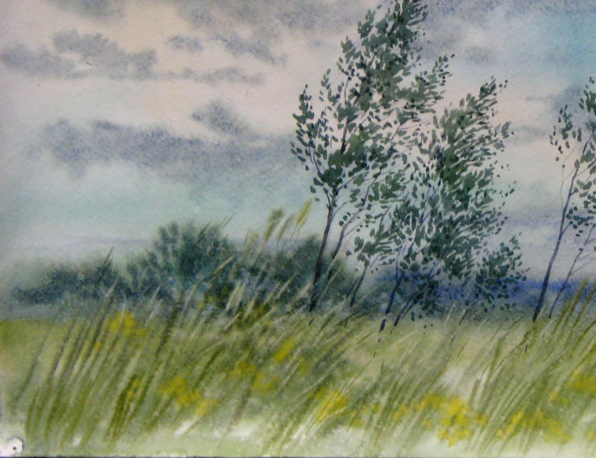 Artwork for Sale    