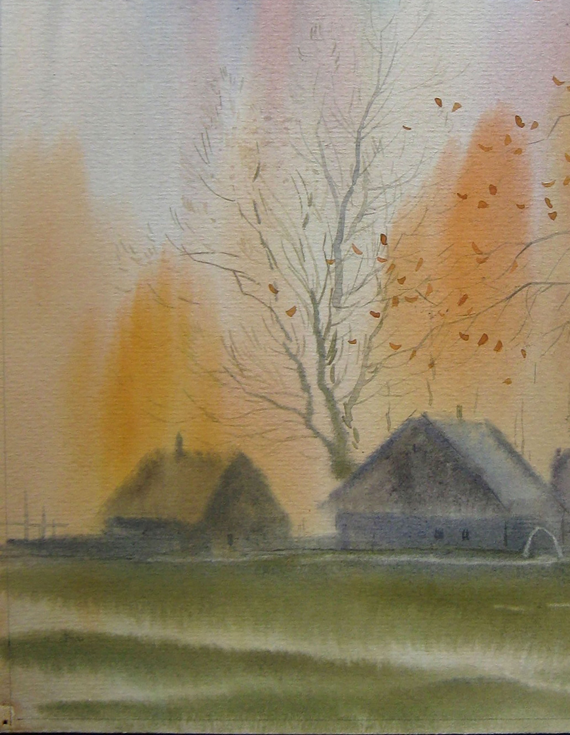 Forest Rural landscape 