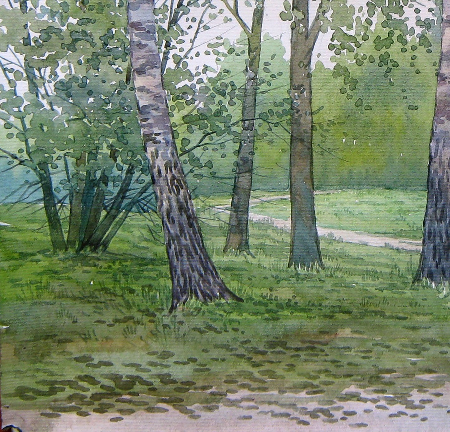 Watercolor painting Summer Forest Nature Landscape 