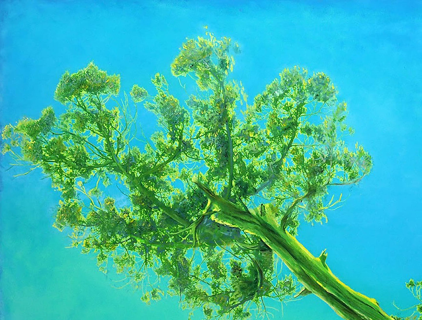 Landscape Contemporary Art  