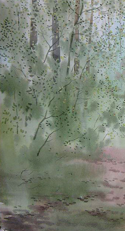 Spring Forest Nature Landscape 