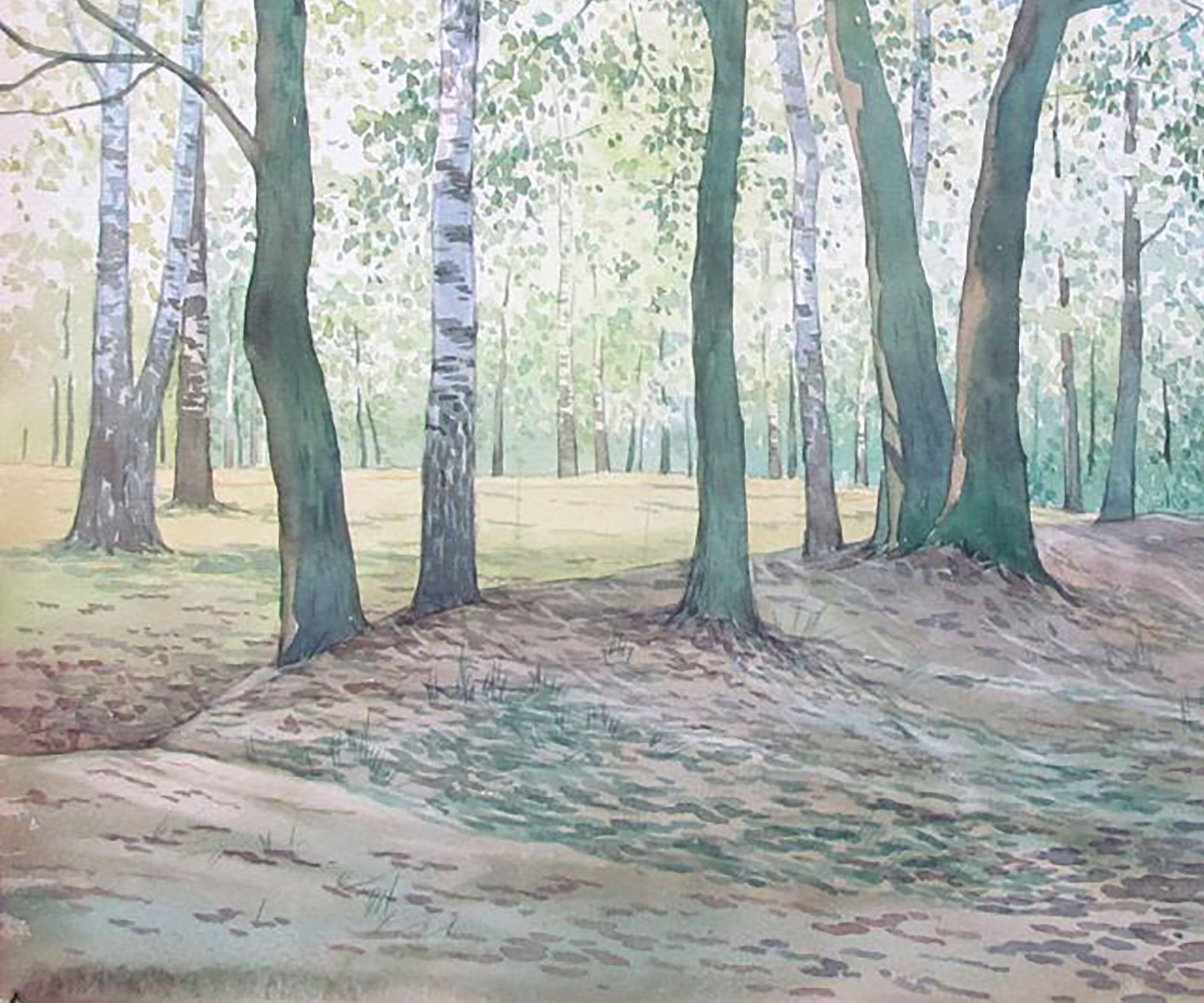 Spring Forest landscape