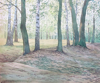 Spring Forest landscape