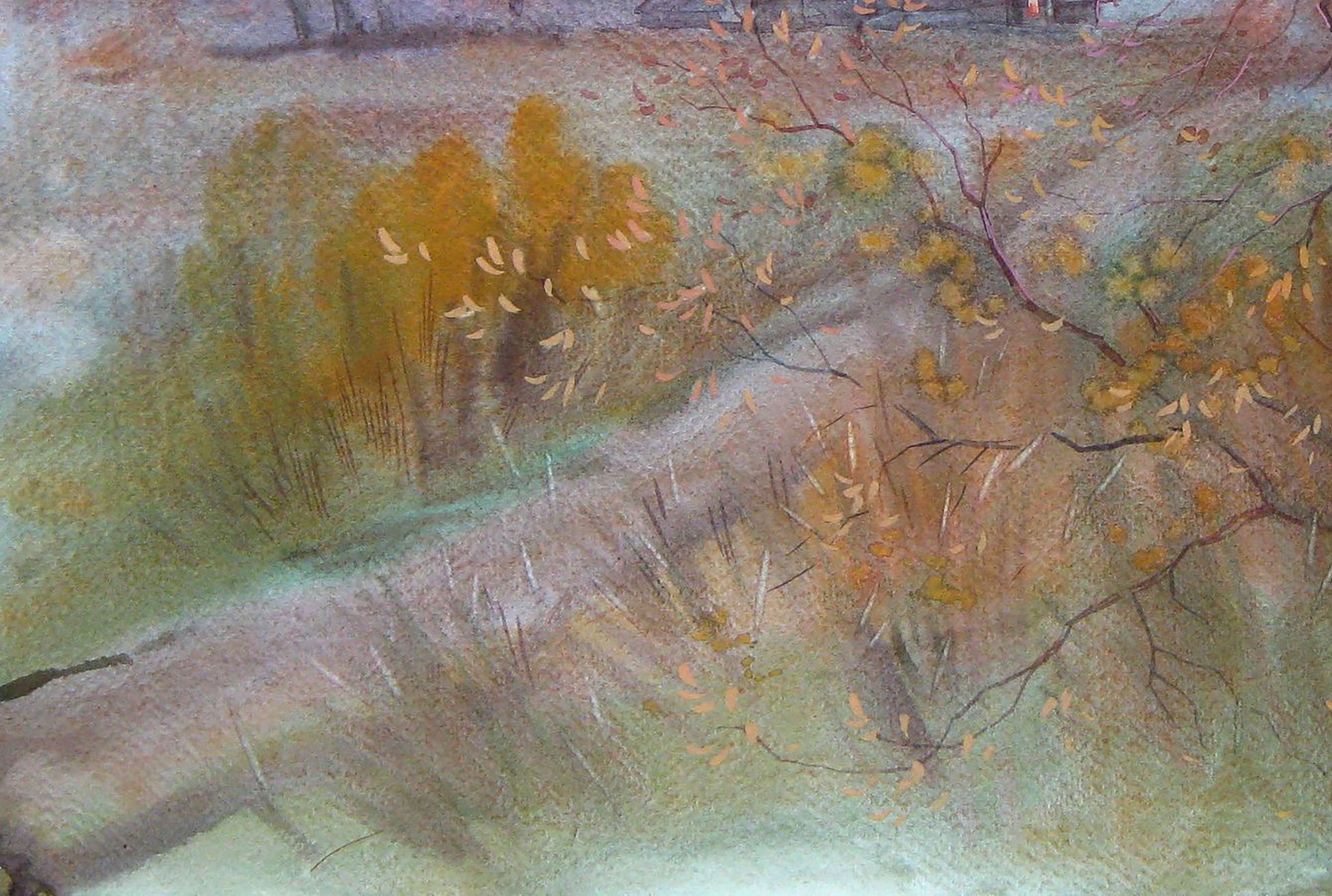 Rural landscape 
