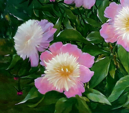 Vibrant pink and white peony oil painting by Korkishko Vasily