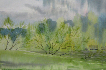 Rural landscape 