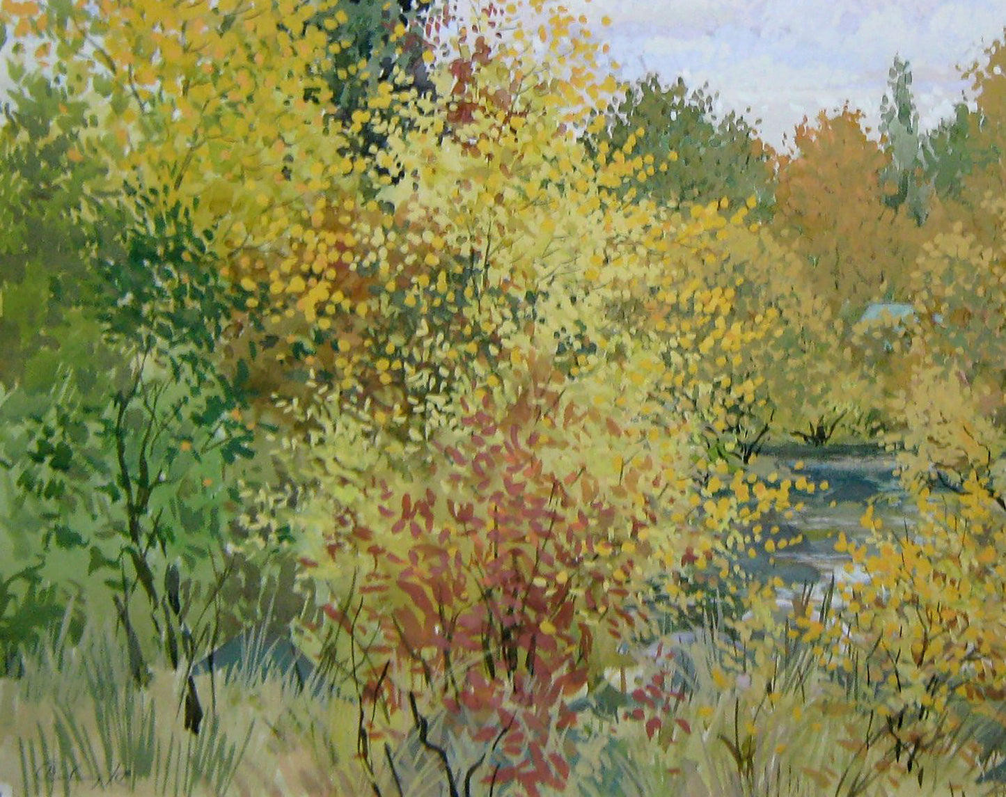 Autumn River Nature Landscape 