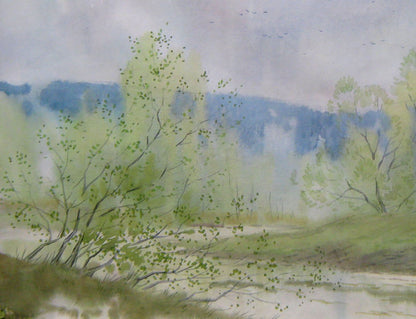 Spring Forest Nature Landscape 
