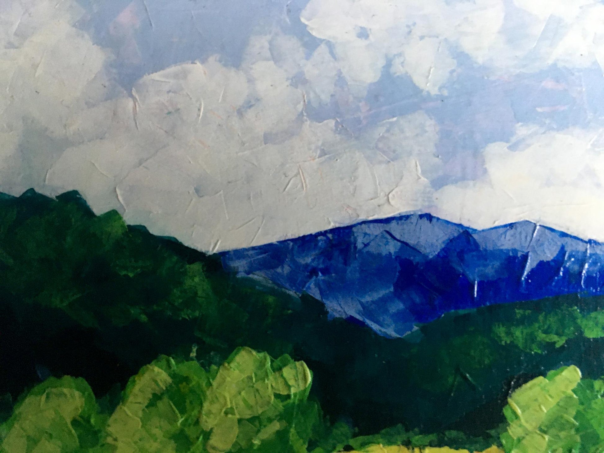 Oil painting of vineyards in forested mountains by V. Zadorozhnya