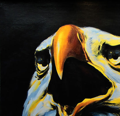 Animals  Portrait