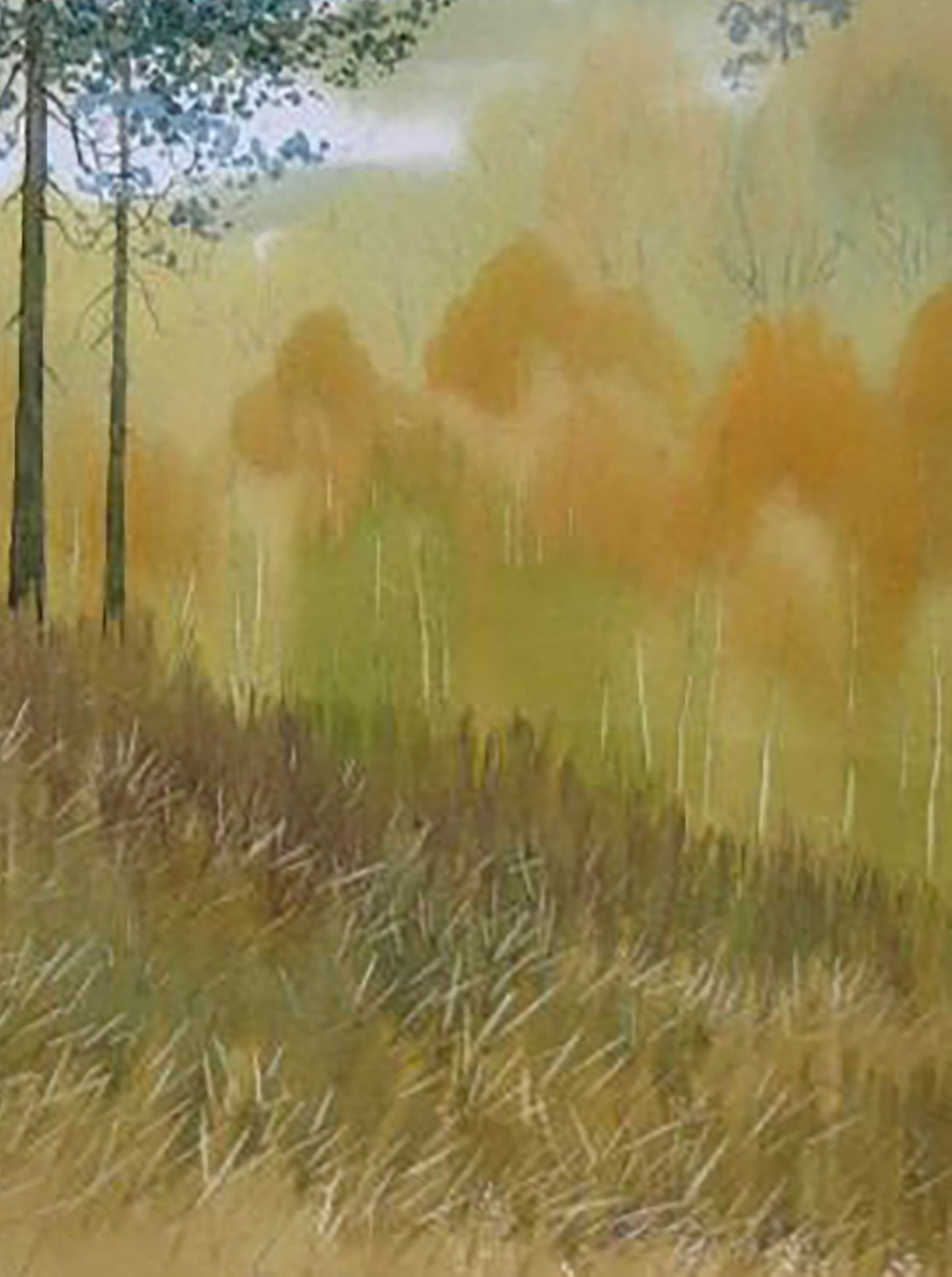 Buy Modern Painting