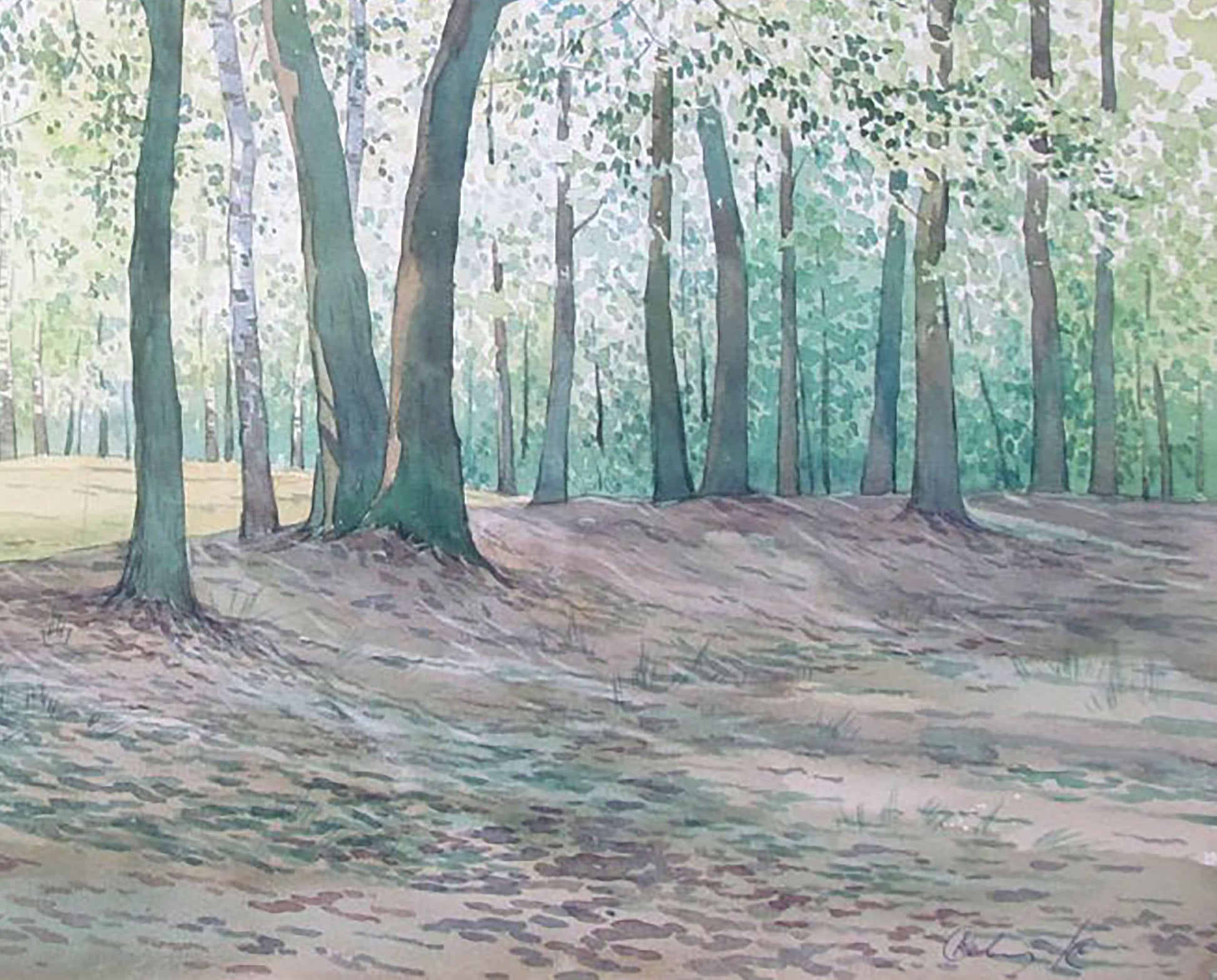 Forest landscape Buy painting