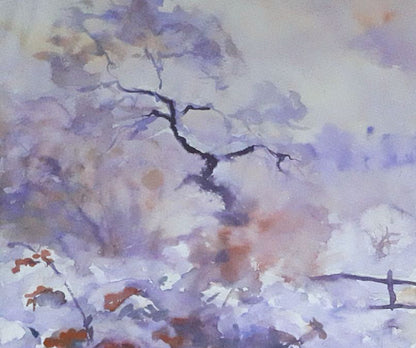 Winter Nature Landscape 