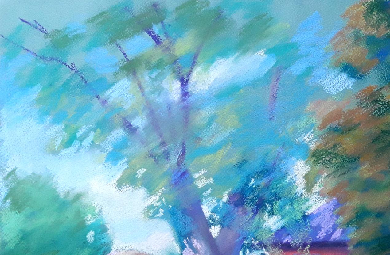 Rural landscape 