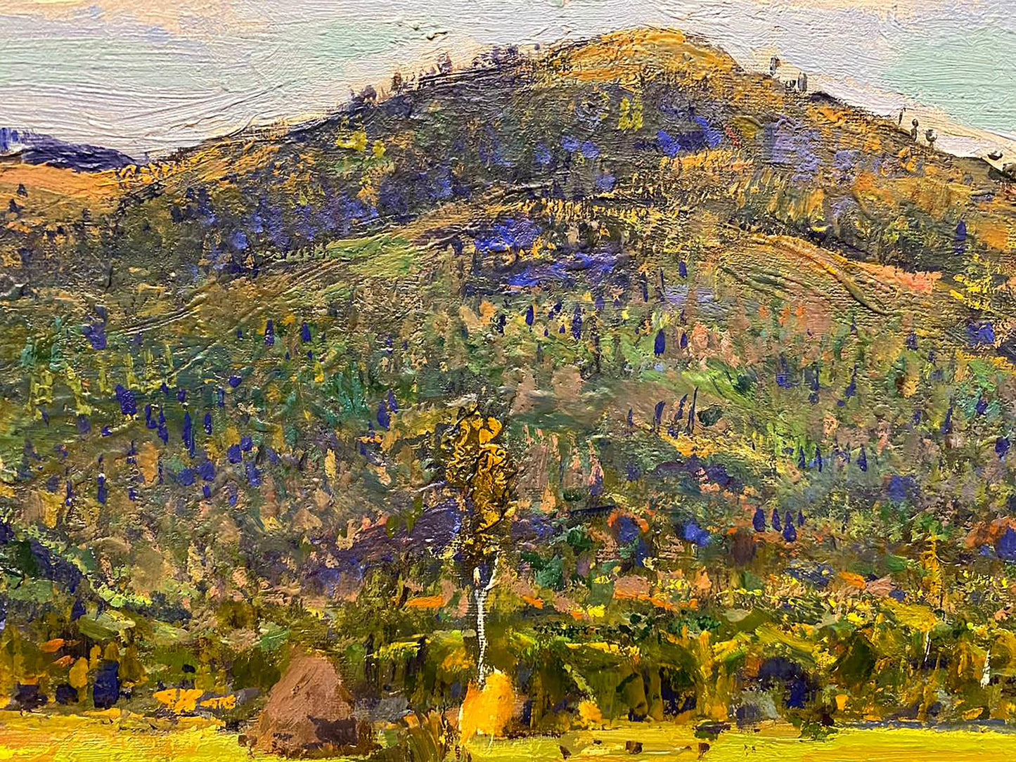 Oil painting Carpathians by Zaretskyi Viktor: textured green-purple hillside
