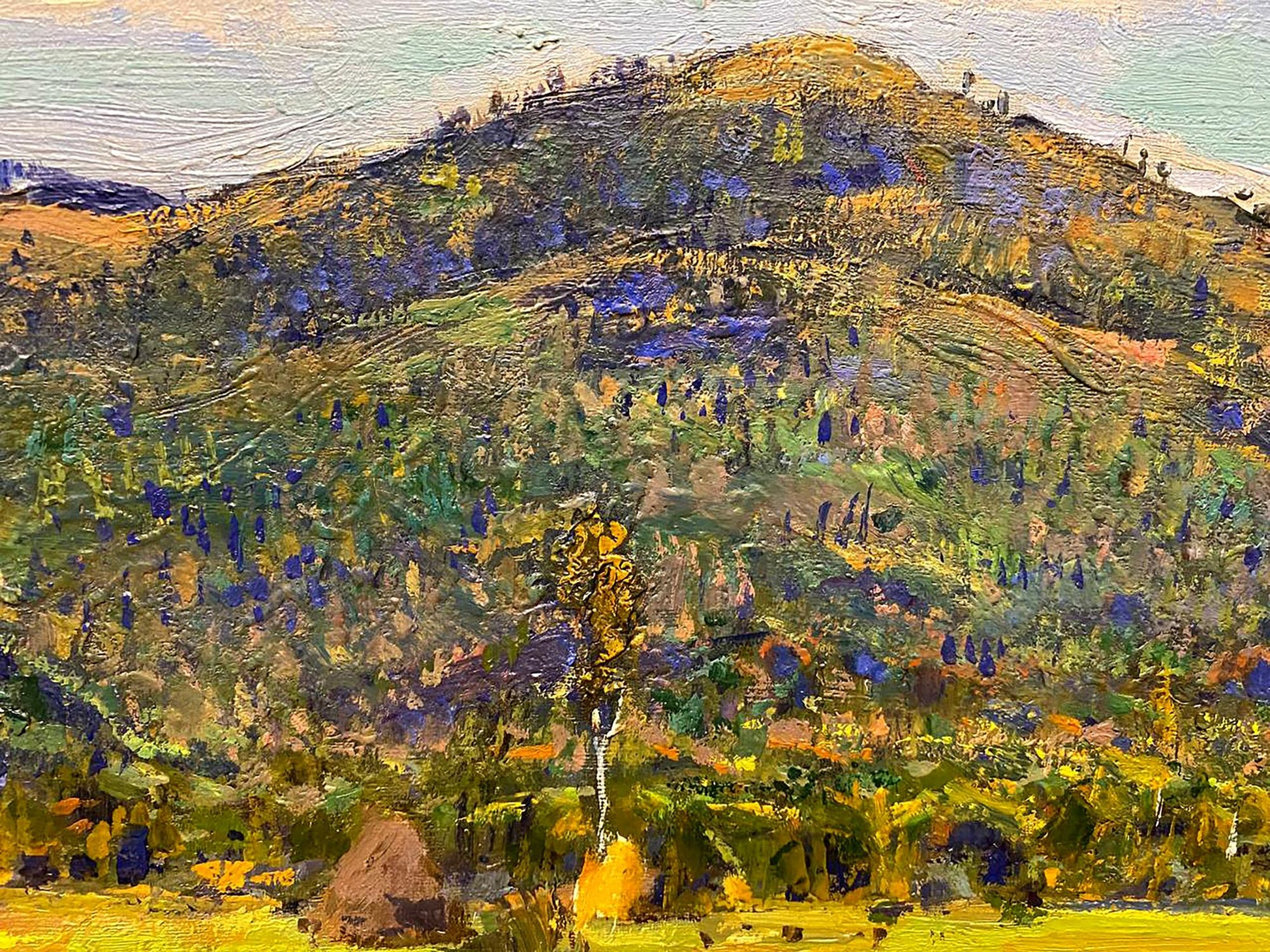 Oil painting Carpathians by Zaretskyi Viktor: textured green-purple hillside
