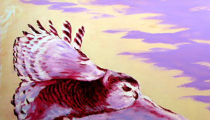 Animals Portraits