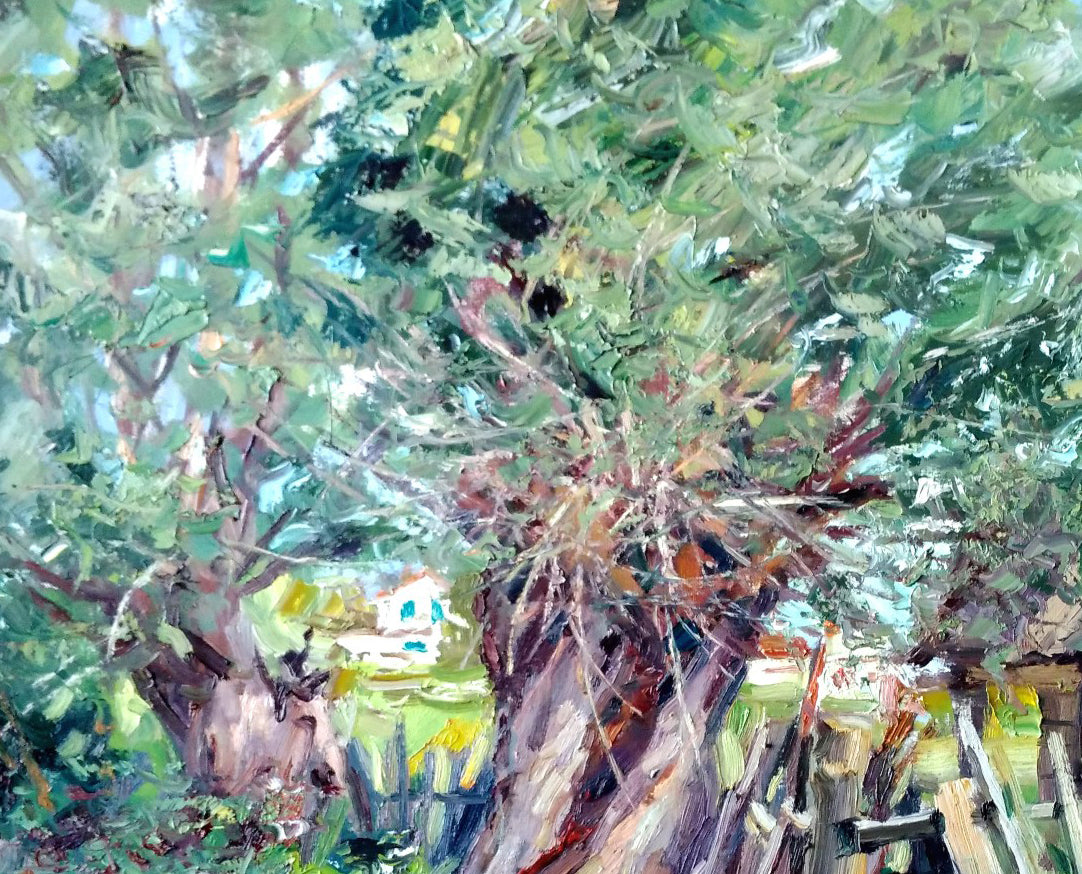 Rural landscape 