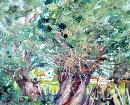 Rural landscape 