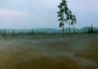 Morning Korkishko Vasily oil painting of misty pine trees