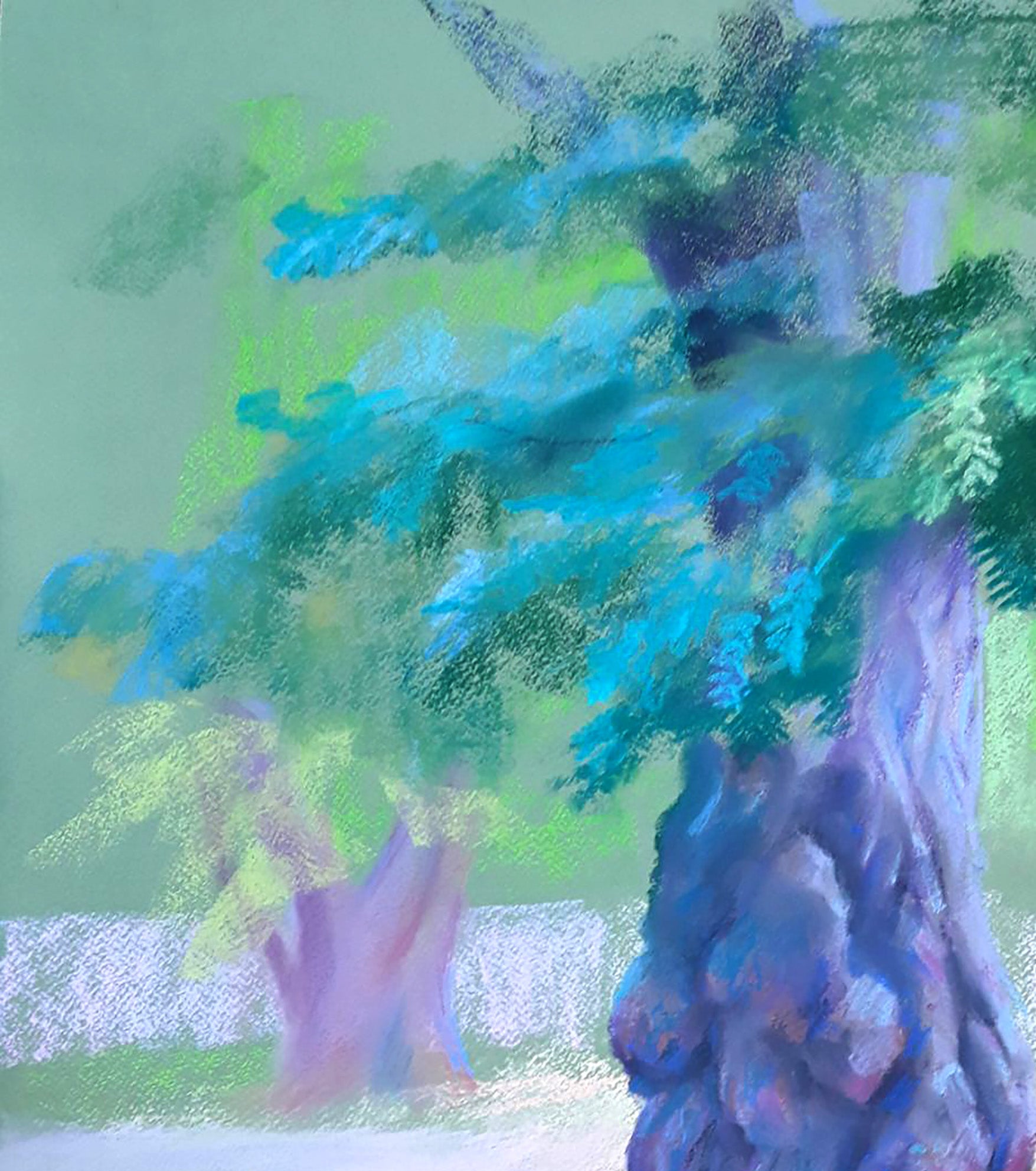 Forest landscape