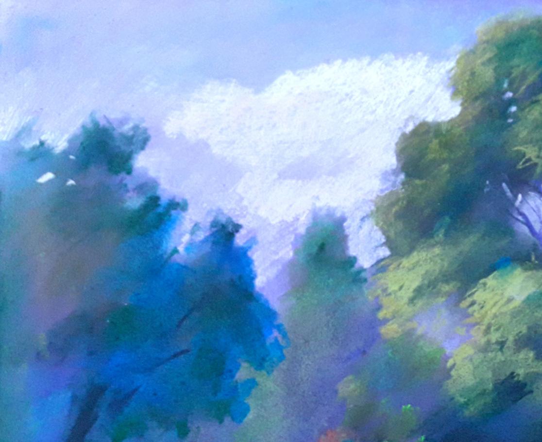 Rural landscape 