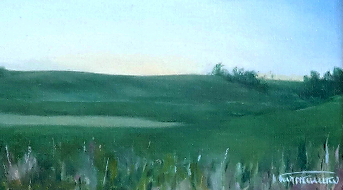 Serene Dnieper outskirts oil painting by Korkishko Vasily: green hills, pond, trees