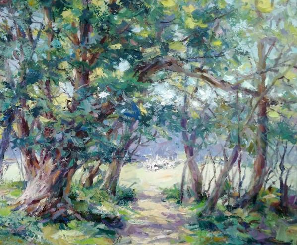 Summer Forest 