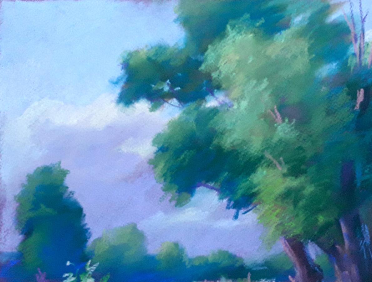 Forest landscape