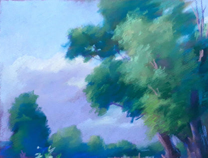 Forest landscape