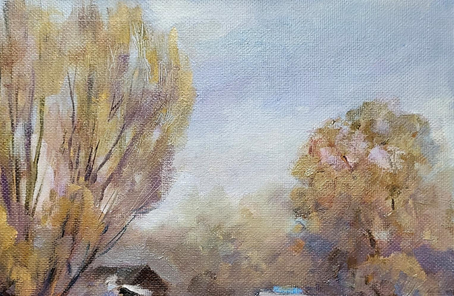 Nature Landscape 