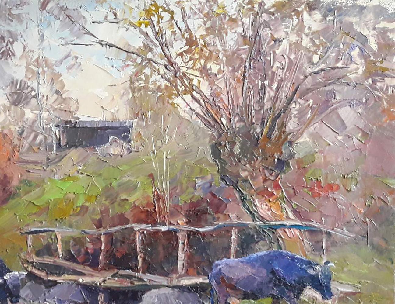 Rural landscape 