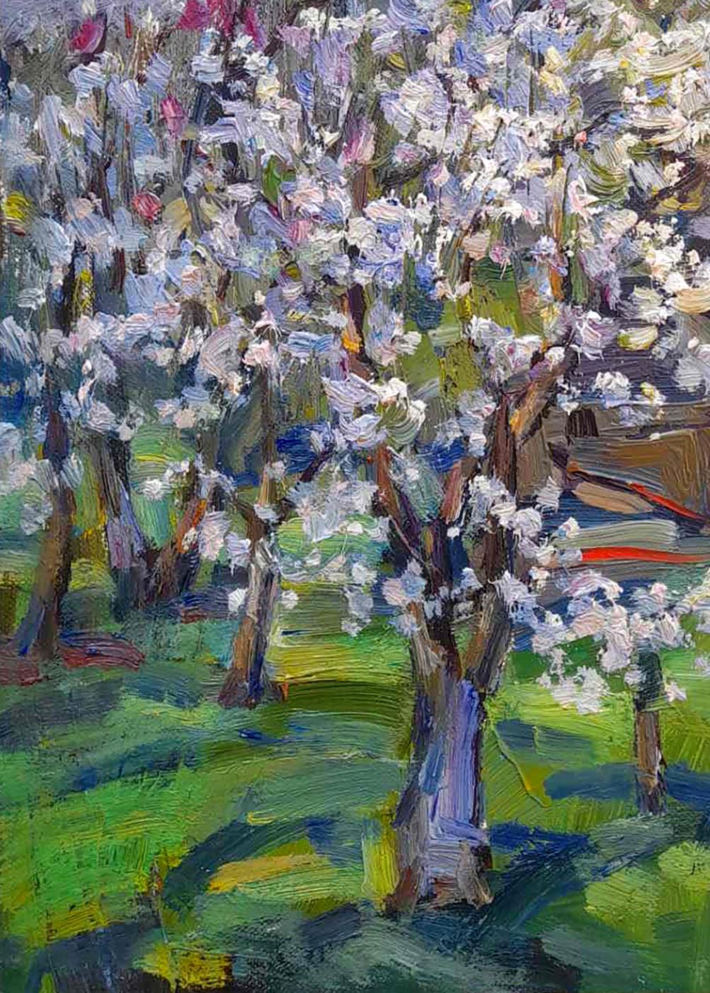 Spring Rural landscape 