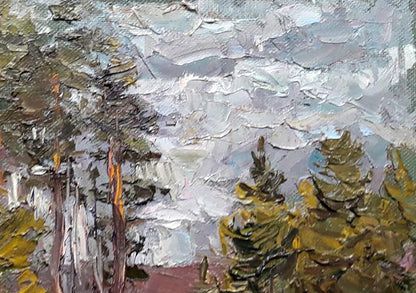 Nature Landscape 