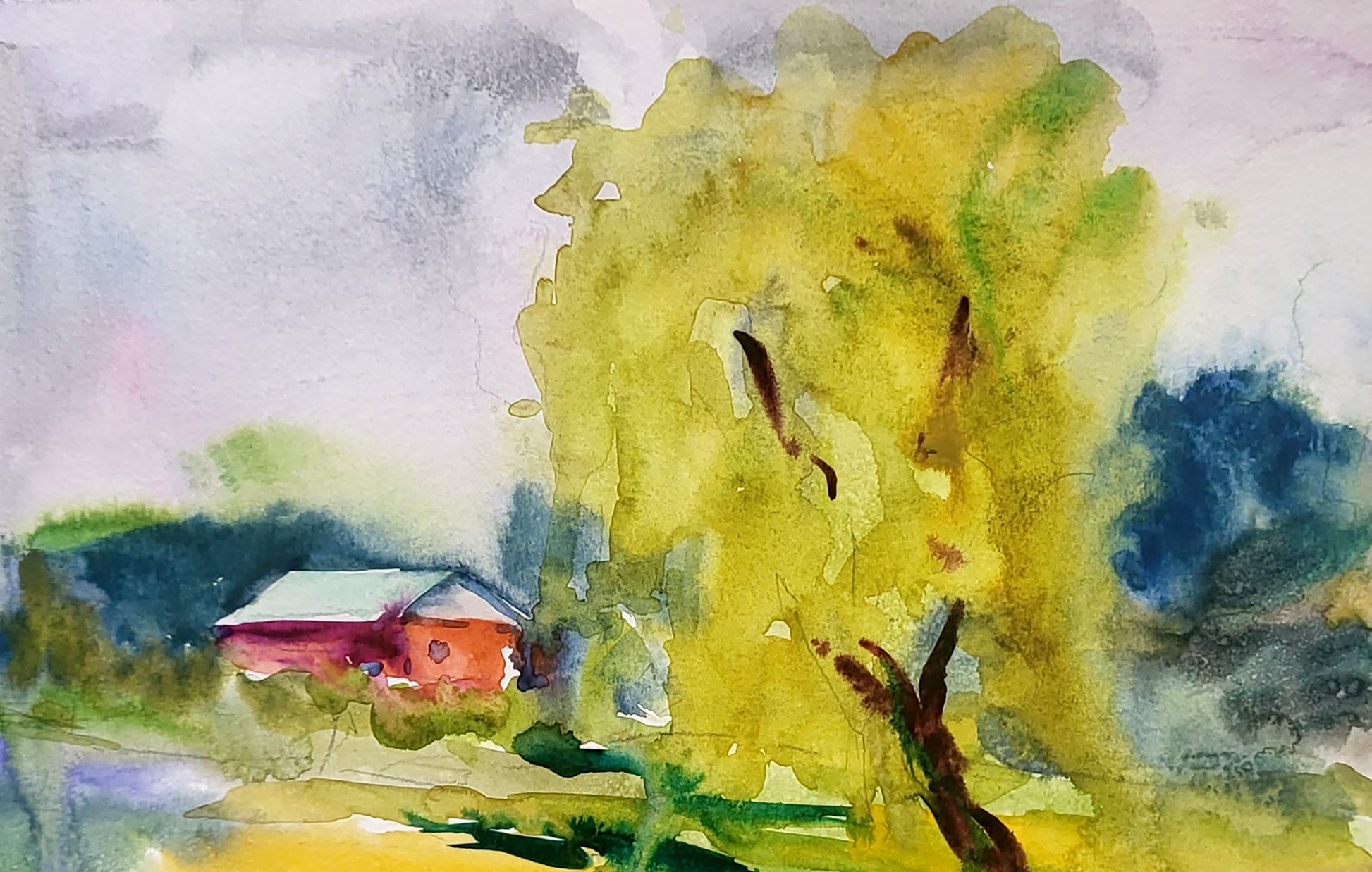 Nature Landscape 
