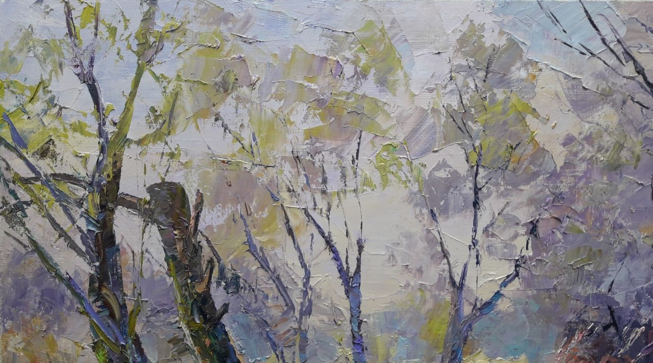 Nature Landscape 
