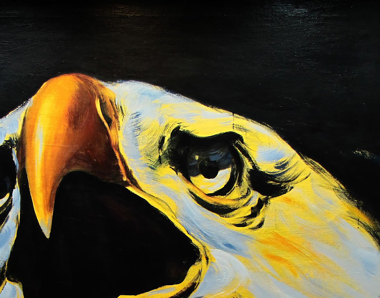 Contemporary Art  Buy 